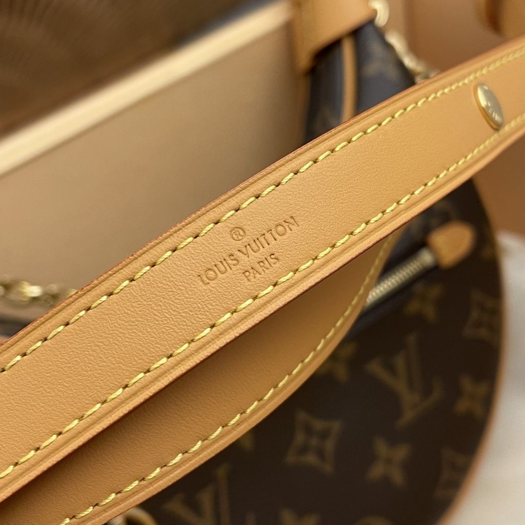 Louis Vuitton The Loop Handbag Brown 23Cm M81098 - Image 8