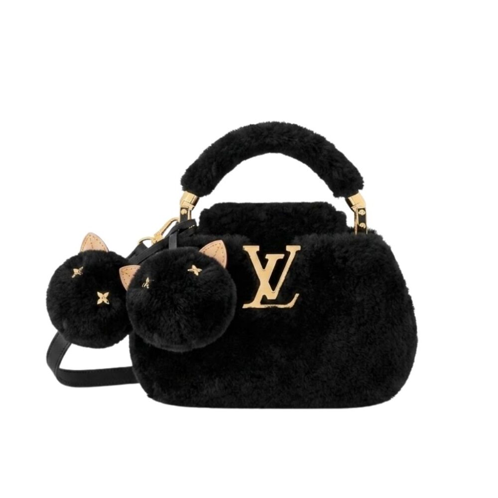 Louis Vuitton Ski Capusnow Black 20Cm