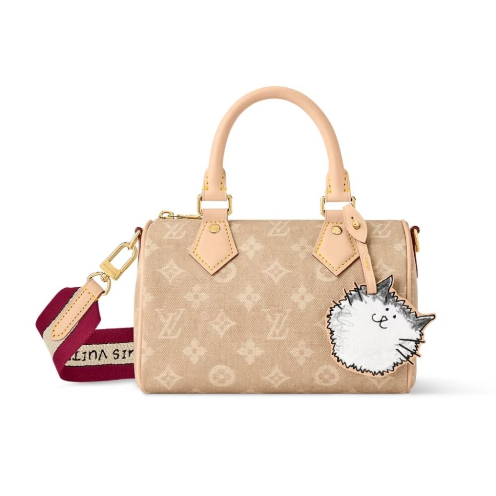 Louis Vuitton Travels With Grace Coddington Speedy Bandouliere 20 Gray 20Cm M15151
