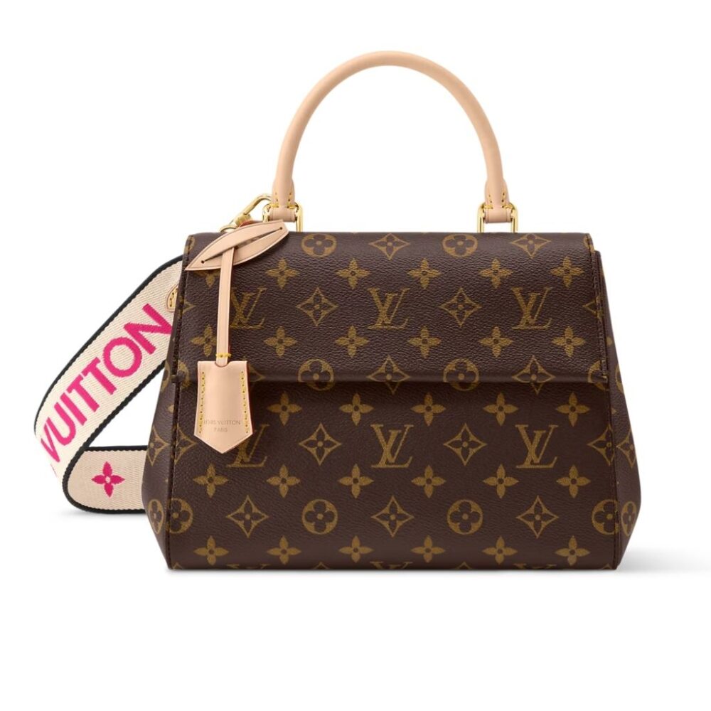 Louis Vuitton Clunny BB Brown 28Cm M13041
