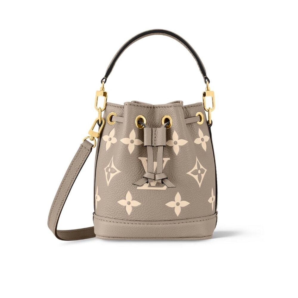 Louis Vuitton Nano Noe Gray 16cm M46291