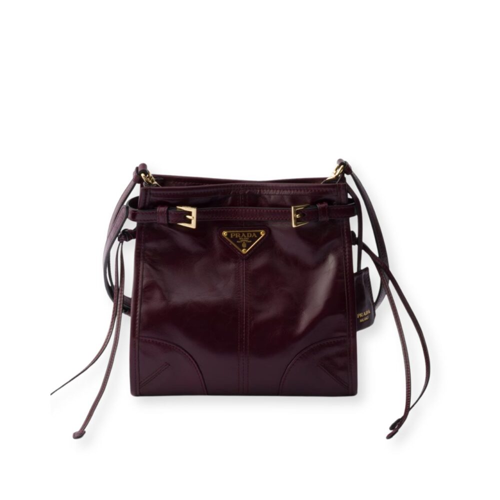 Prada Bonnie Leather Mini Shoulder Bag Burgundy 20cm 1BH229 2CYR F0LV7 V OOM