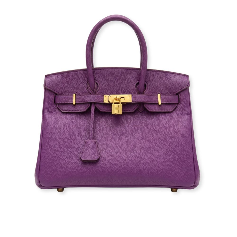 Hermes Birkin 25 Anemone Togo 25cm