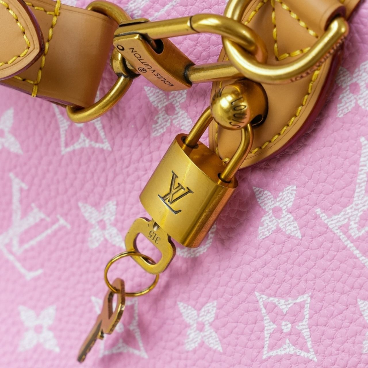 Prestige Edition - Louis Vuitton Speedy P9 Bandouliere 25 Candy 25cm M28648 - Image 11