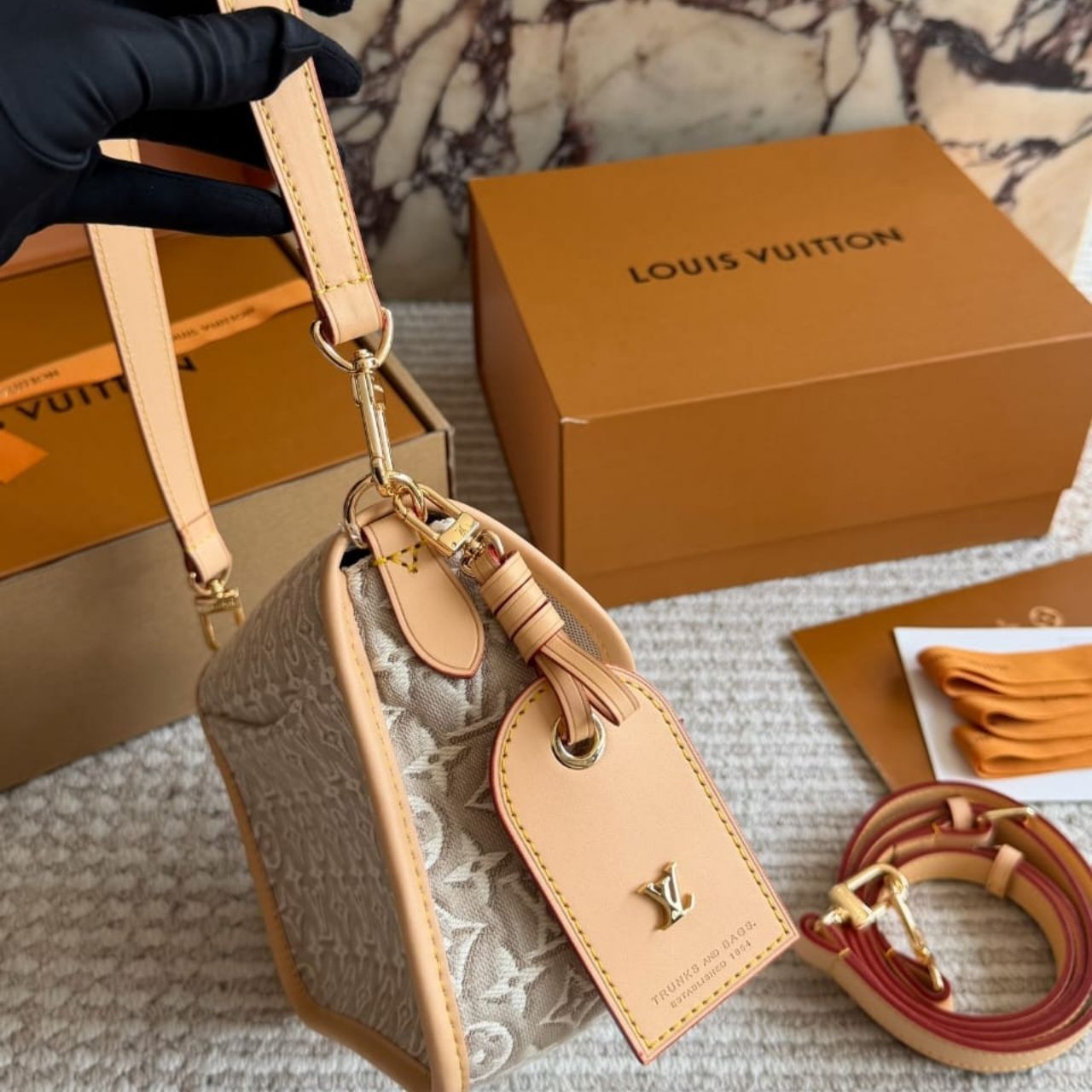 Louis Vuitton Diane PM Monogram Embleme Peuplier 24cm M29795 - Image 3