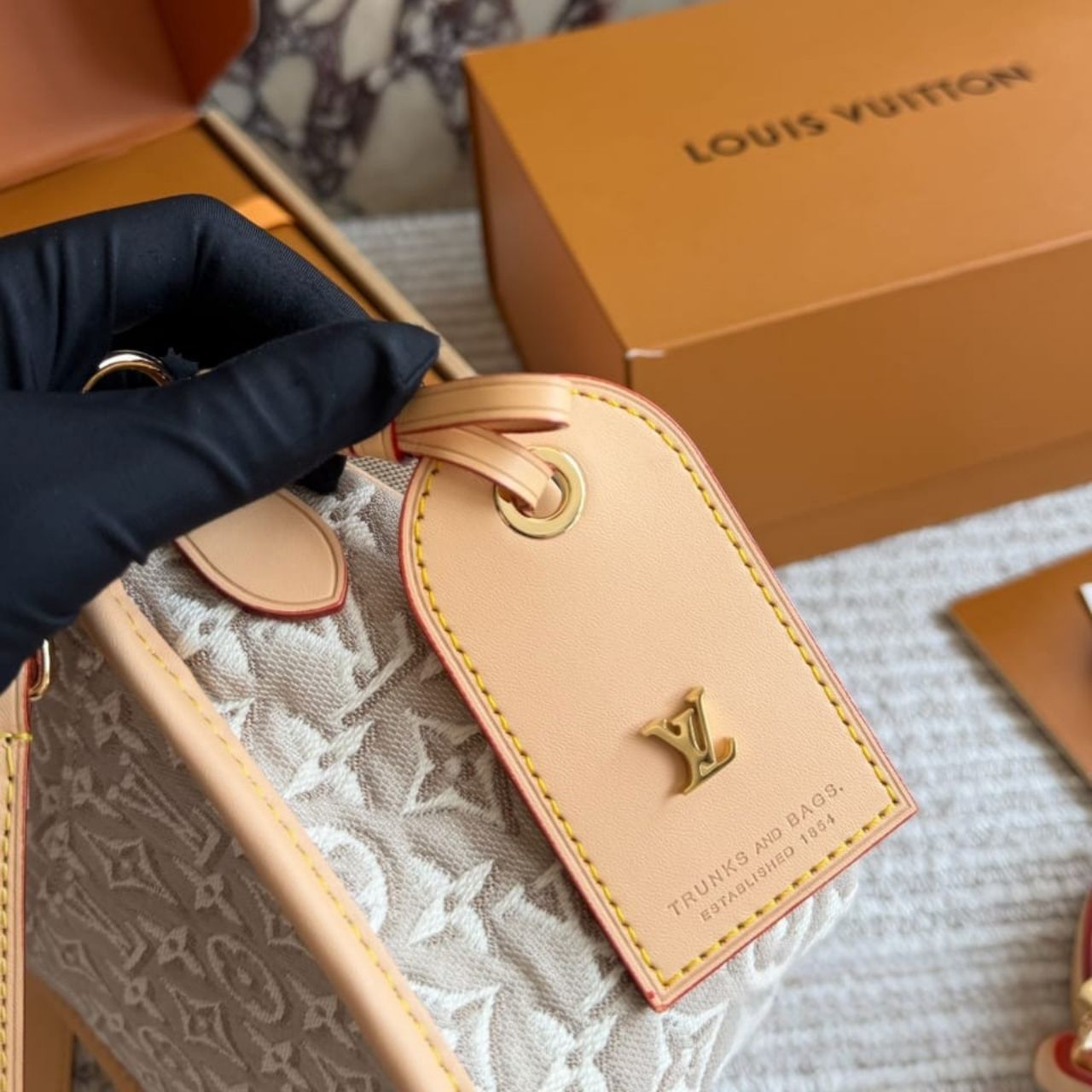 Louis Vuitton Diane PM Monogram Embleme Peuplier 24cm M29795 - Image 7