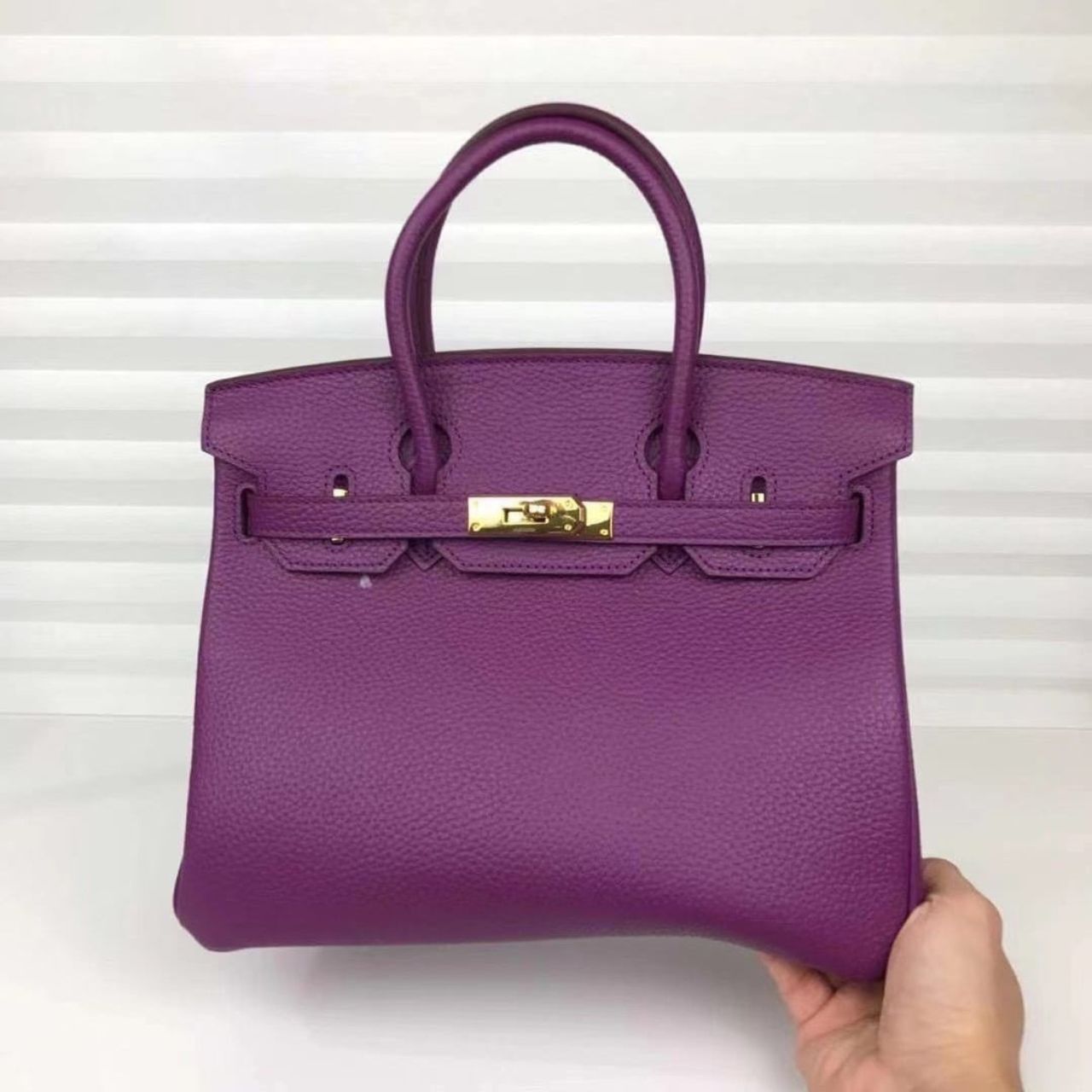 Prestige Edition - Hermes Birkin 25 Anemone Togo 25cm - Image 4